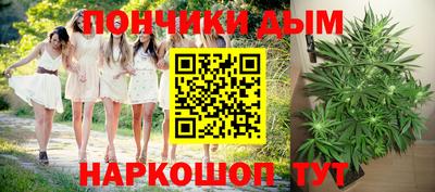 крисы Волгодонск