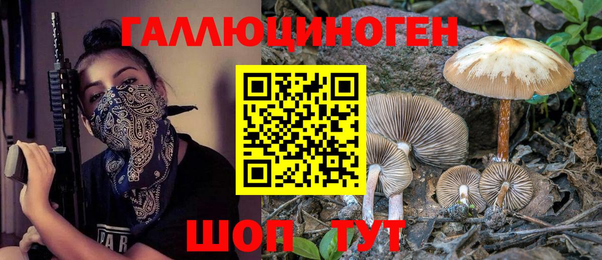Белово  Псилоцибиновые грибы ЛСД  Вход с VPN 